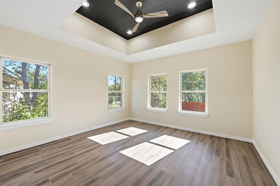 Empty room featuring a raised ceiling, wood finished floors, and healthy amount of natural light Empty room featuring a raised ceiling, wood finished floors, and healthy amount of natural light