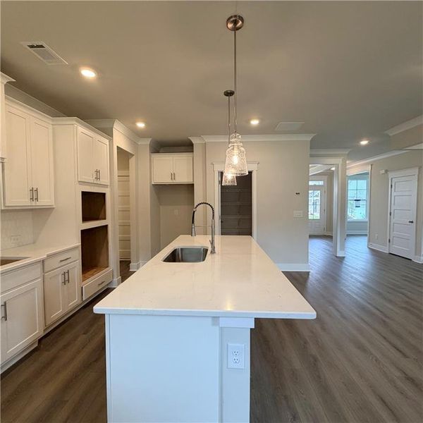 Furnished interior view inside a new home in Fowler Farms, Auburn (Image 5).