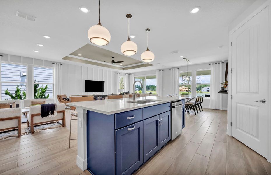 Furnished interior view inside a new home in Double Branch, Middleburg (Image 6).