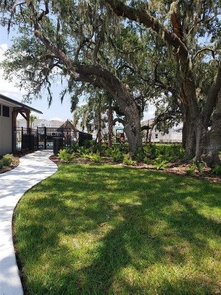 Natural landscape and outdoor views near Pennyroyal in Kissimmee (Image 28). Natural landscape and outdoor views near Pennyroyal in Kissimmee (Image 28).
