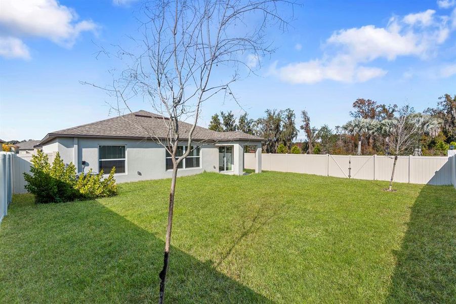 Exterior details and patio area of a home in North Park Isle: The Estates II, Plant City (Image 32). Exterior details and patio area of a home in North Park Isle: The Estates II, Plant City (Image 32).