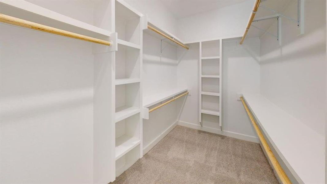 Spacious closet featuring light carpet