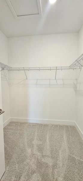 Spacious, unfurnished interior of a new home in , Winter Garden (Image 15).