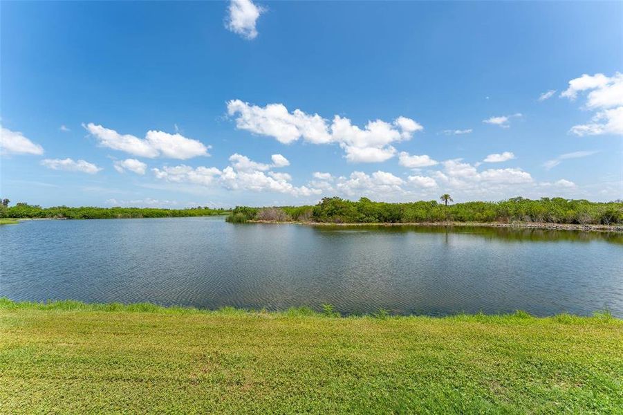 Natural landscape and outdoor views near Evergreen in Bradenton (Image 51). Natural landscape and outdoor views near Evergreen in Bradenton (Image 51).