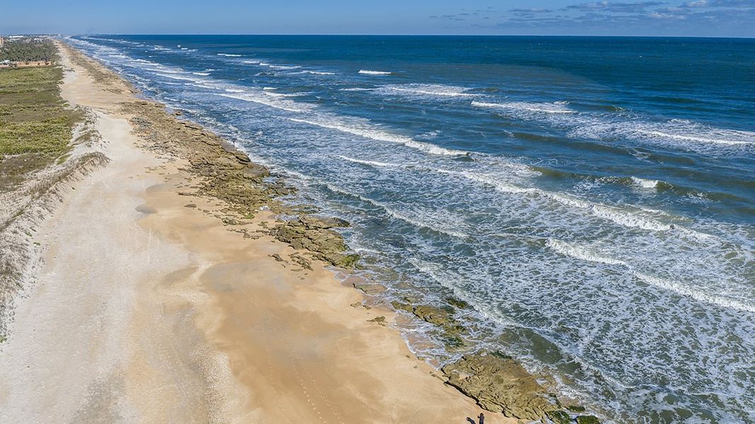 Natural landscape and outdoor views near Colbert Landings in Palm Coast (Image 89).