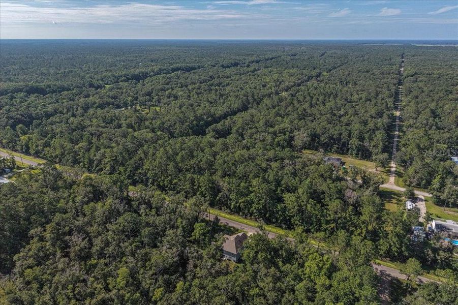 Natural landscape and outdoor views near Flagler Estates in Hastings (Image 62).