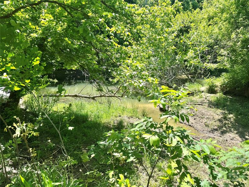 Natural landscape and outdoor views near  in Gainesville (Image 9).