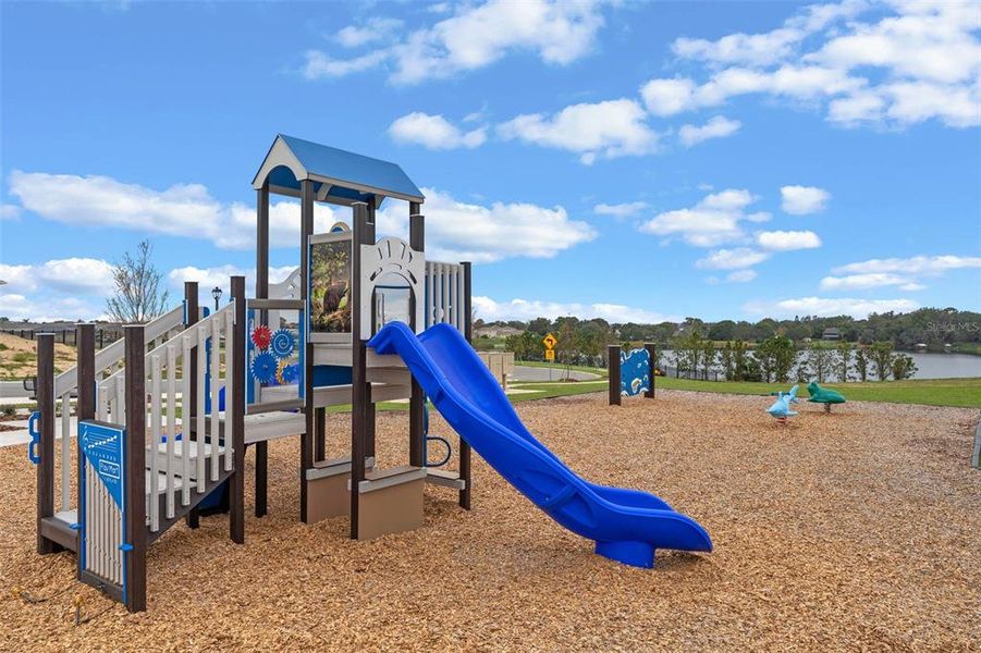 Community amenities in , Tavares (Image 42).