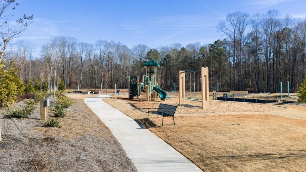 Community amenities in Waypoint, Flowery Branch (Image 27).
