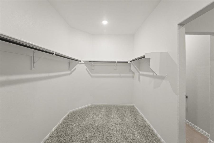 Spacious closet featuring light colored carpet