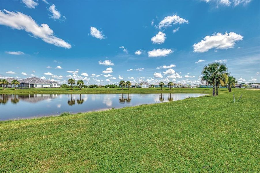 Natural landscape and outdoor views near  in Sarasota (Image 50).