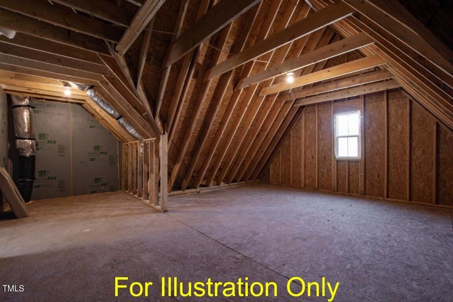 Megan - FIO Pro Pics_Page_46 (Medium)