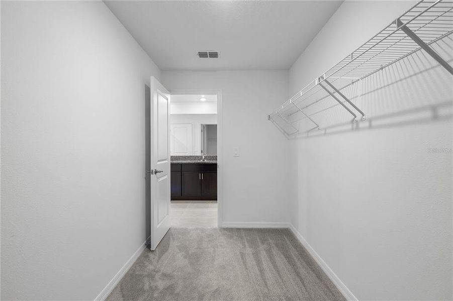 Spacious, unfurnished interior of a new home in Wind Meadows South, Bartow (Image 45).