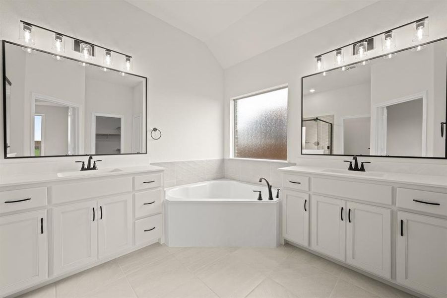 113 Grey wolf- Primary-3 113 Grey wolf- Primary-3