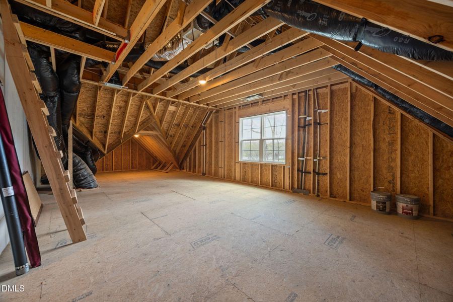 53-web-or-mls-IMG_2373