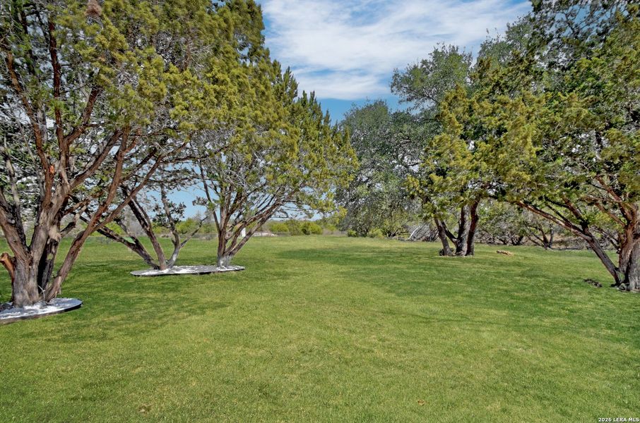 Natural landscape and outdoor views near  in Bandera (Image 28).