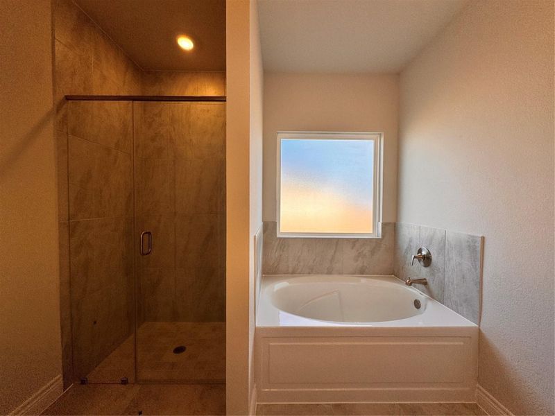 Image 20 of a home in Grand Oaks Reserve. Image 20 of a home in Grand Oaks Reserve.