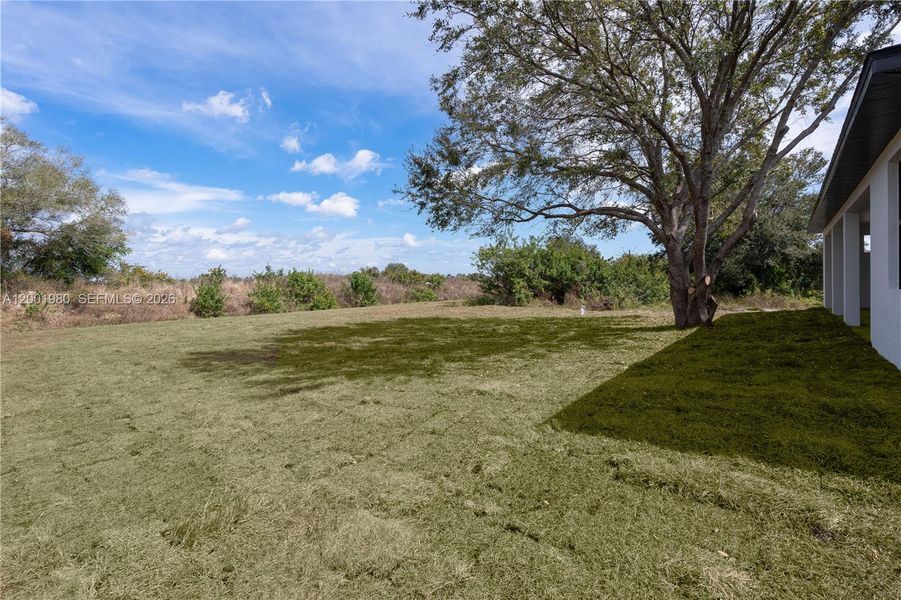 Natural landscape and outdoor views near  in Lehigh Acres (Image 27).