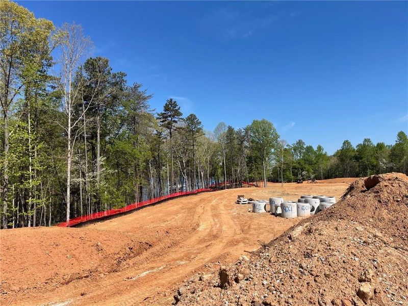 Site preparation for new homesites in , Gainesville (Image 5).