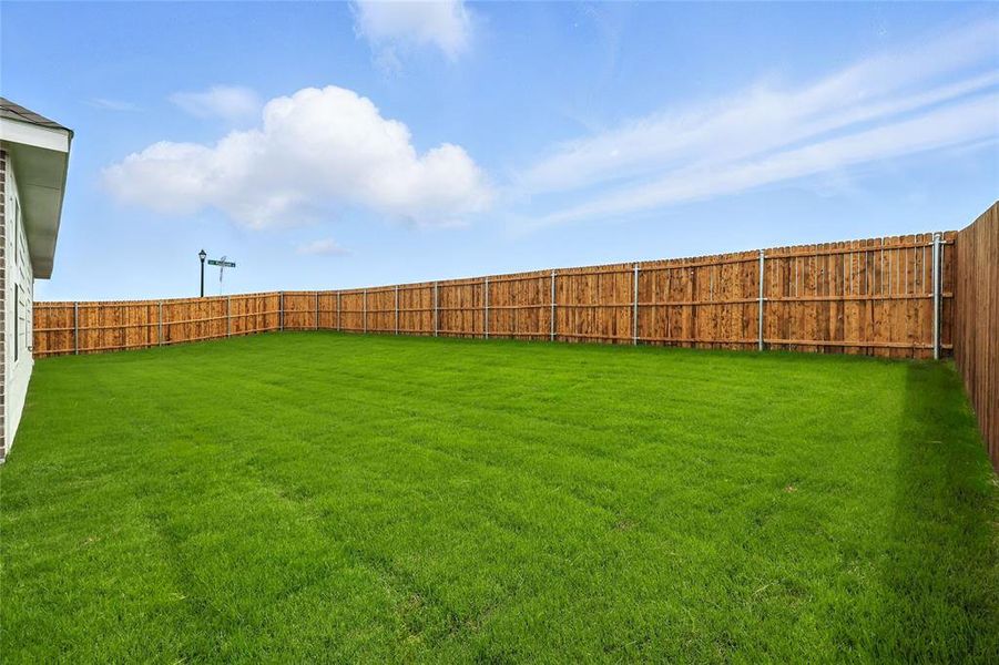 View of fenced backyard