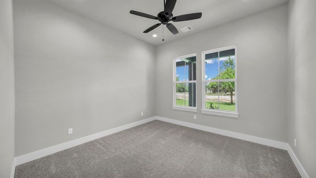 Carpeted room with a vaulted ceiling and two white-framed windows
