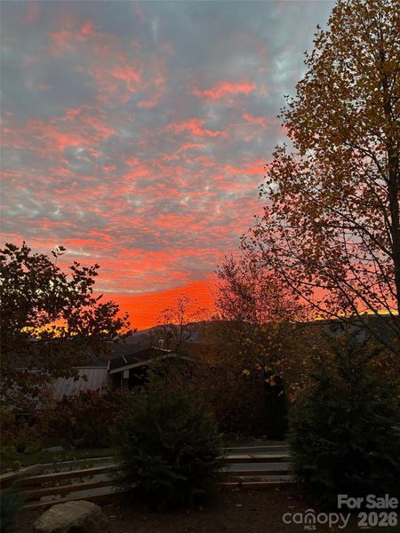 Natural landscape and outdoor views near  in Asheville (Image 39).