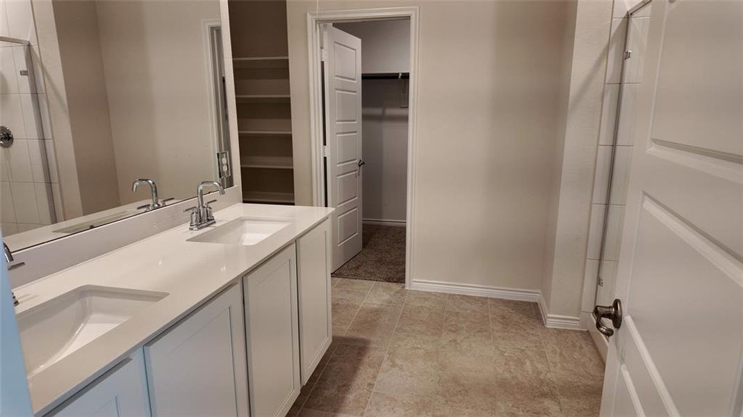 Bathroom featuring a walk in closet, double vanity, and a shower