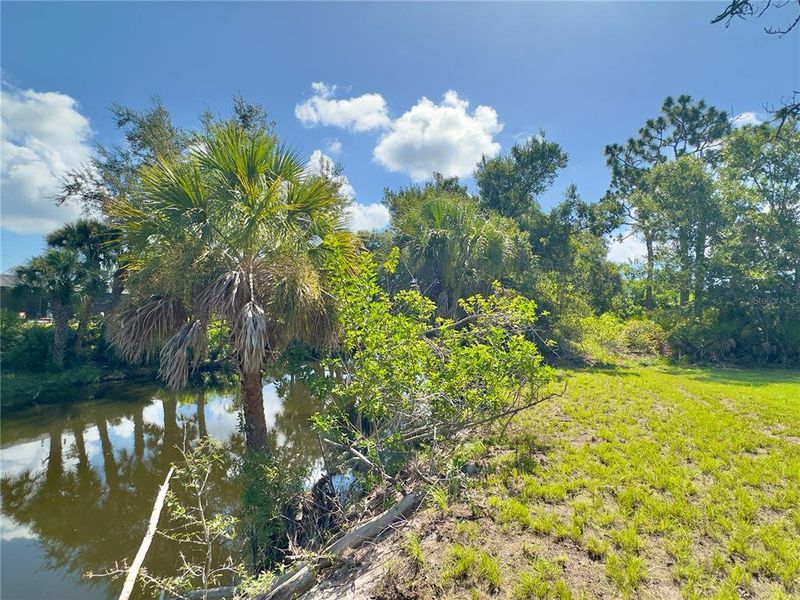 Natural landscape and outdoor views near in Rotonda West (Image 62). Natural landscape and outdoor views near in Rotonda West (Image 62).