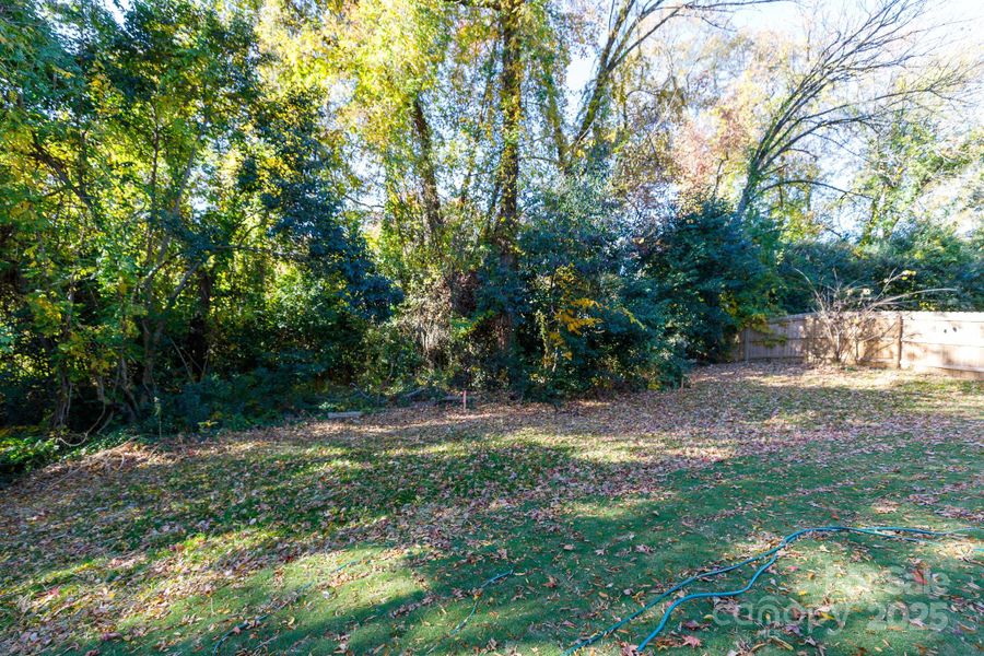 Natural landscape and outdoor views near  in Charlotte (Image 27).
