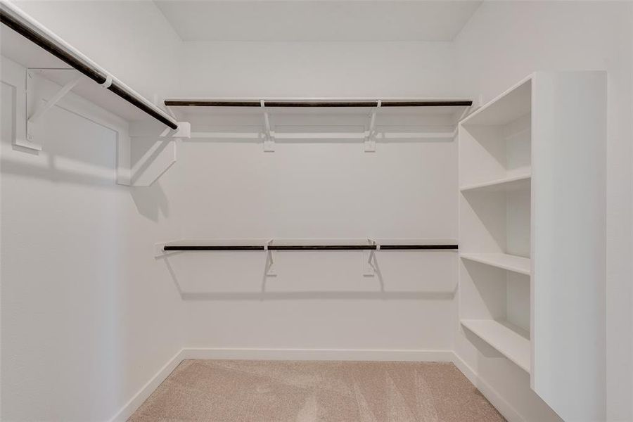 Walk in closet featuring light colored carpet