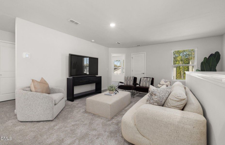 oriole (10) oriole (10)