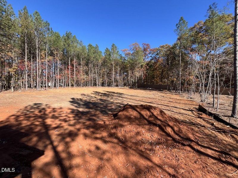 Photo Nov 04 2025, 11 13 11 AM (Medium) Photo Nov 04 2025, 11 13 11 AM (Medium)