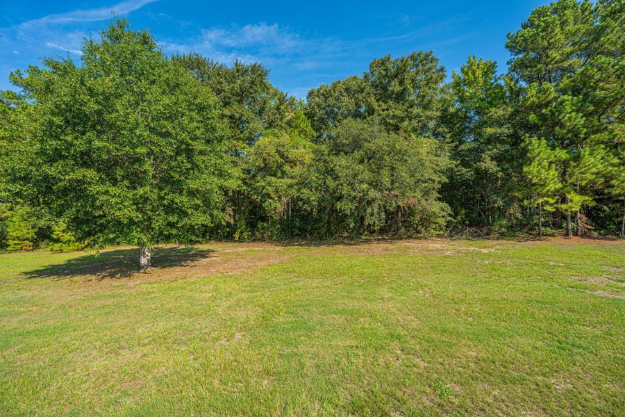 Natural landscape and outdoor views near  in St. Stephen (Image 76).