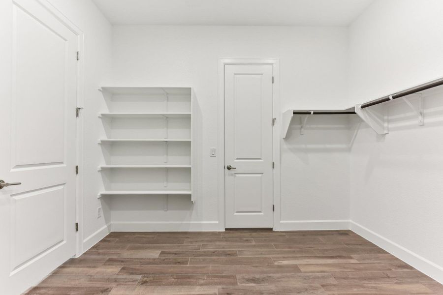 Walk in closet featuring light wood-style floors Walk in closet featuring light wood-style floors