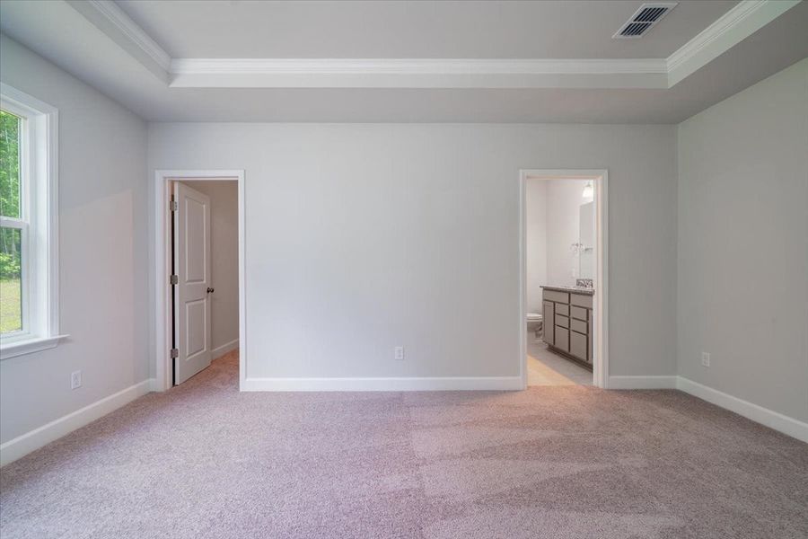 Retreat to an Owner's Suite with tray ceiling detail. Retreat to an Owner's Suite with tray ceiling detail.