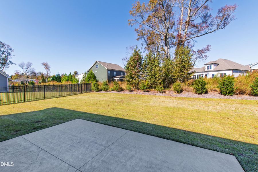 Landscaping For Privacy