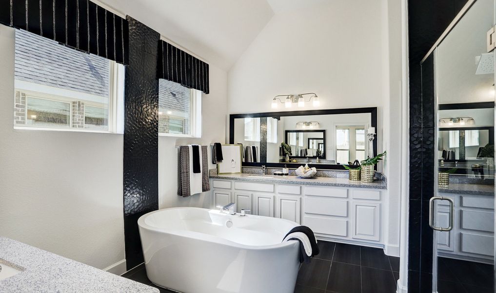 Luxurious owner's bath