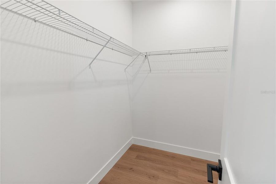 Spacious, unfurnished interior of a new home in , Tampa (Image 39).