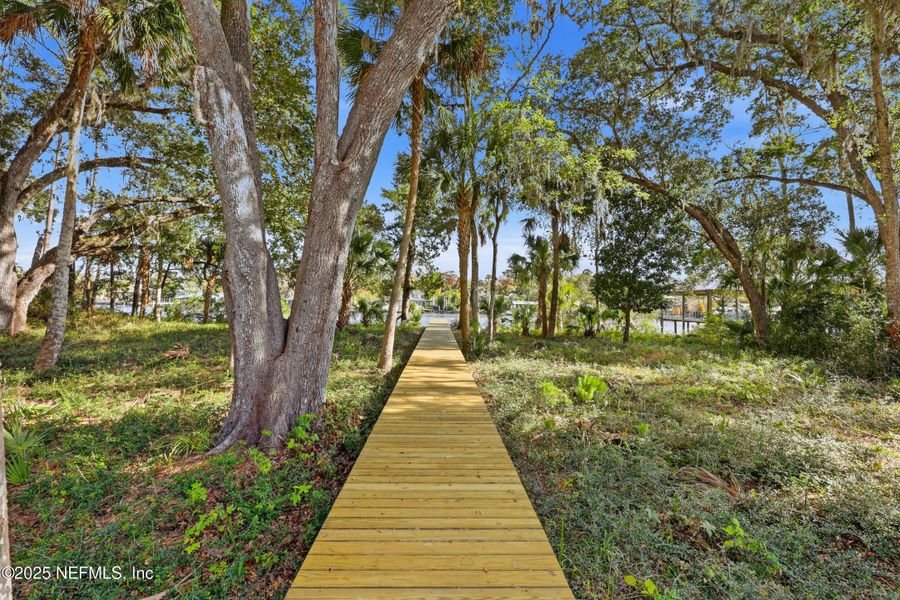 Natural landscape and outdoor views near  in Ponte Vedra (Image 118).