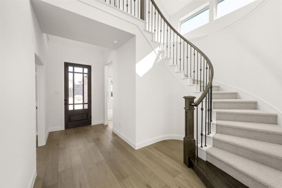 1005 Butterfly- Entry-1 1005 Butterfly- Entry-1