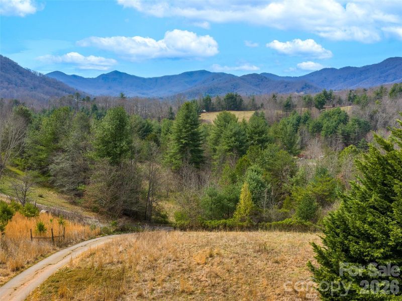Natural landscape and outdoor views near  in Leicester (Image 3).