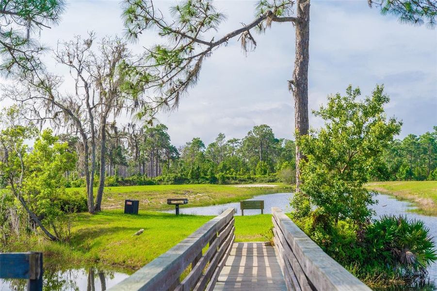 Natural landscape and outdoor views near  in Lake Wales (Image 14).