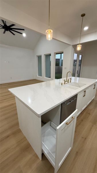 Pull out trash drawer next to dishwasher for convenience