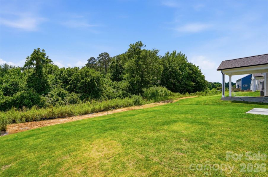 Backyard Backyard