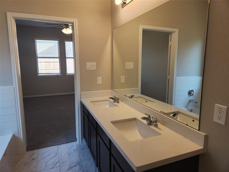 Double sinks in owner's bath