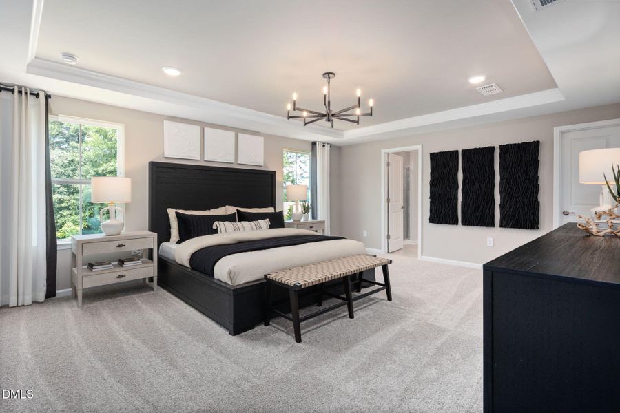 PO Murray Model (22)