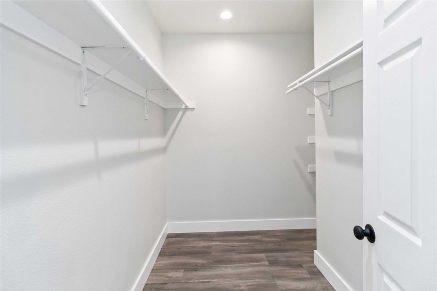 Walk in closet with dark wood-style flooring