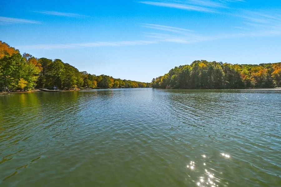 Natural landscape and outdoor views near The Coves on Lake Wylie Towns in Charlotte (Image 31).