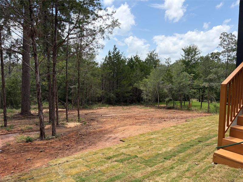 A spacious yard with new sod and natural tree surroundings awaits your personal touch. A spacious yard with new sod and natural tree surroundings awaits your personal touch.