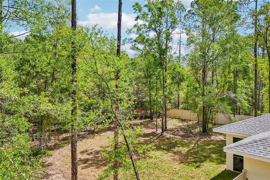 Natural landscape and outdoor views near  in Citrus Springs (Image 51).